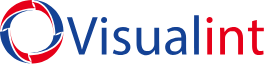 Visualint logo